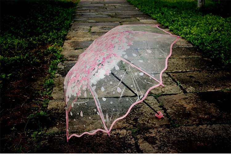 女性用3層透明傘,クリアレイン傘,防風,桜,女性用ファッショ - Women'S Fashion Umbrella のレビューと価格